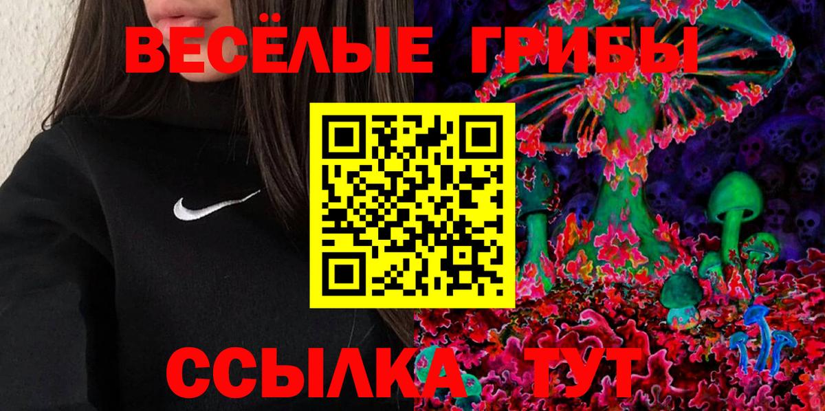 Лениногорск  Псилоцибиновые грибы Magic Shrooms  Вход с VPN  Псилоцибиновые грибы GOLDEN TEACHER 